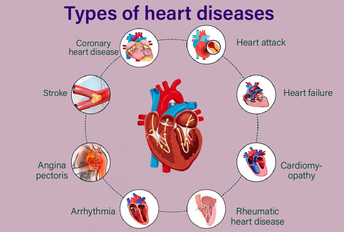 heart_diseases_against_face_fat_transfer_in_turkey