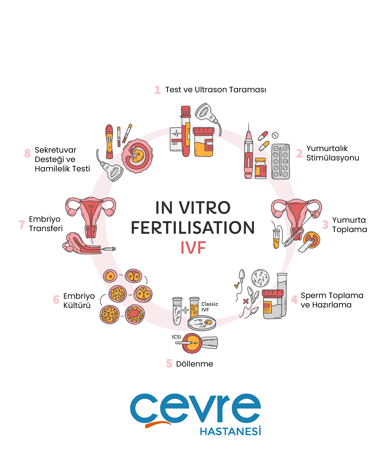 in_vitro_fertilizasyon_tedavisi_asamalari