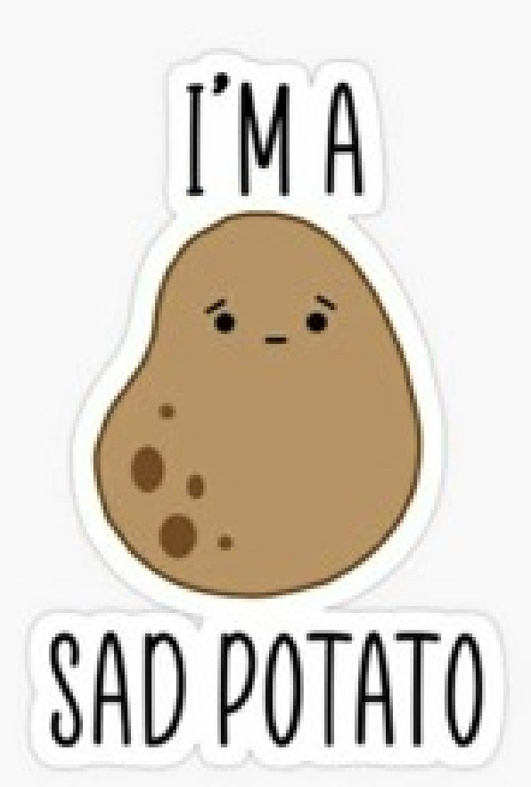 sad_potato_due_to_zoom_dysmorphia