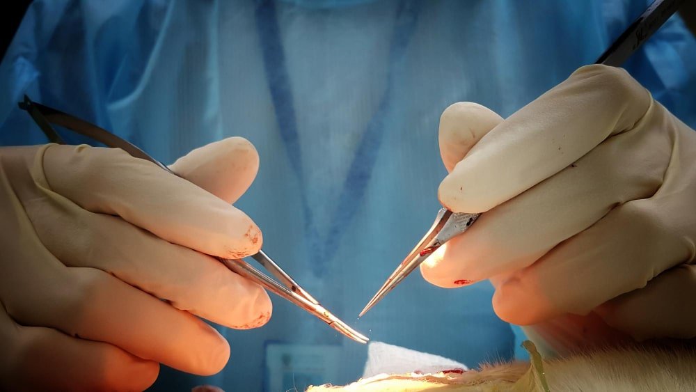 surgeons_doing_an_intervention