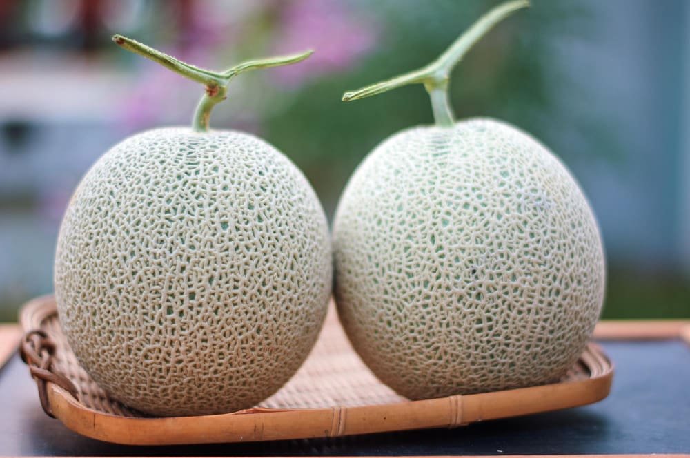 two_big_canteloupes